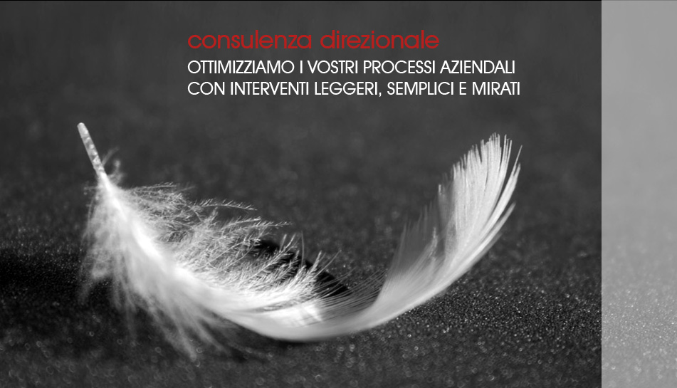 consulenza direzionale ottimiziamo i vostri processi aziendali con interventi leggeri semplici e mirati